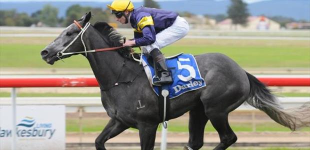 Chautauqua - Hawkesbury - 03/05/2014